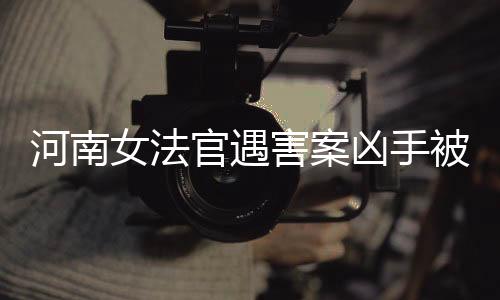 河南女法官遇害案兇手被執(zhí)行死刑