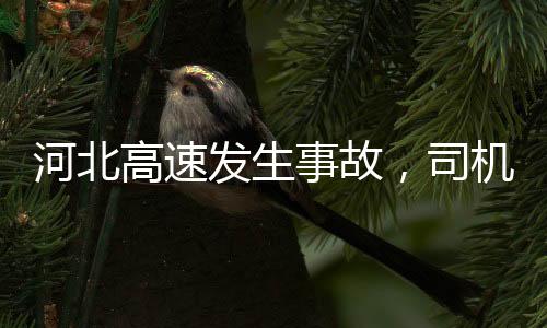 河北高速發(fā)生事故，司機選擇繼續(xù)往家開事件調(diào)查與反思