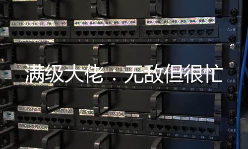 滿級大佬：無敵但很忙