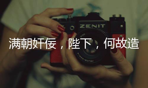 滿朝奸佞，陛下，何故造反？