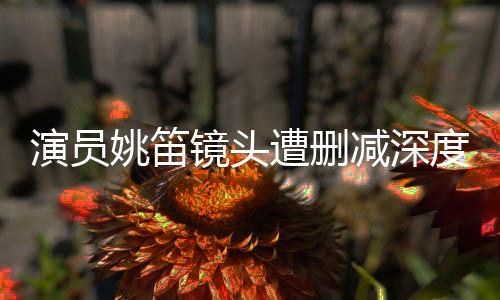 演員姚笛鏡頭遭刪減深度解析