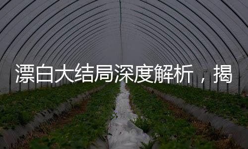 漂白大結(jié)局深度解析，揭開最后的秘密