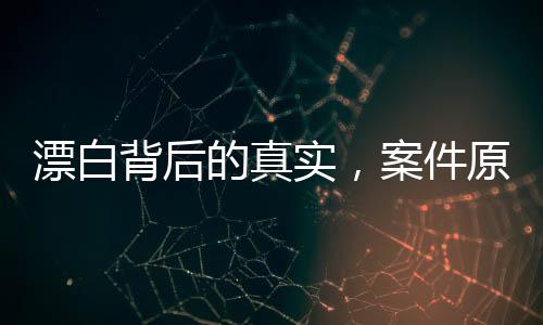 漂白背后的真實，案件原型遠比劇中更為殘忍揭秘