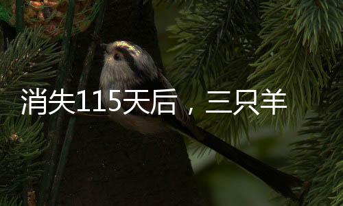 消失115天后，三只羊復(fù)播賣年貨，重拾活力，共迎新春年貨盛宴