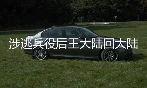 涉逃兵役后王大陸回大陸前景展望
