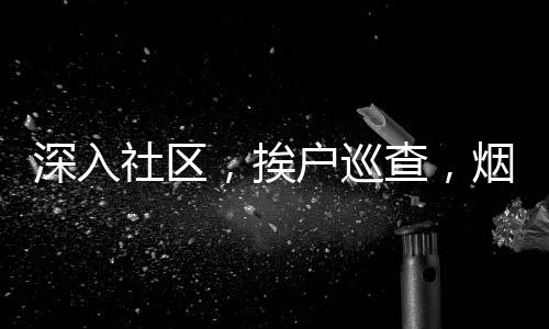 深入社區(qū)，挨戶巡查，煙花安全檢測儀助力喜慶無憂過年