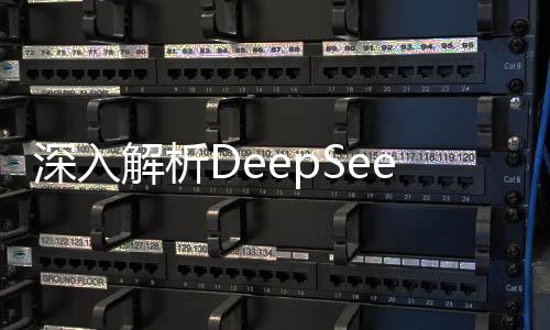 深入解析DeepSeek，探究其對(duì)寒假作業(yè)輔助的能力