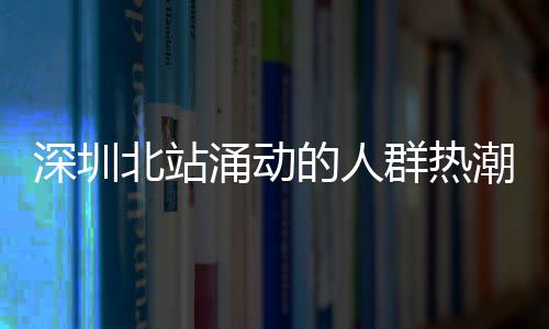 深圳北站涌動的人群熱潮，一瞥見繁忙的交通樞紐
