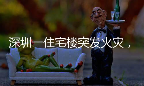 深圳一住宅樓突發(fā)火災(zāi)，現(xiàn)場黑煙沖天，消防部門緊急救援