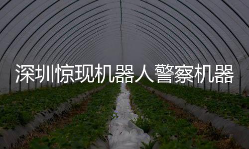 深圳驚現(xiàn)機器人警察機器人網(wǎng)格員，智能警務(wù)引領(lǐng)未來