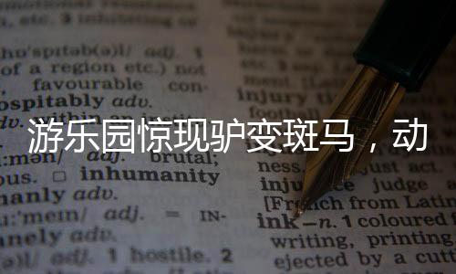 游樂園驚現(xiàn)驢變斑馬，動(dòng)物角色錯(cuò)位引發(fā)社會(huì)關(guān)注