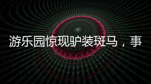 游樂園驚現(xiàn)驢裝斑馬，事件背后的反思與探討