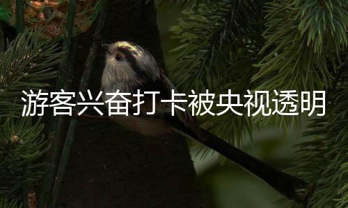 游客興奮打卡被央視透明直播間直播，一場別開生面的旅游體驗