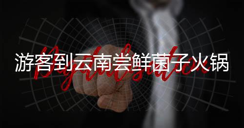 游客到云南嘗鮮菌子火鍋，獨(dú)特規(guī)則令人驚嘆