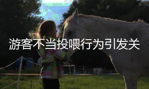 游客不當(dāng)投喂行為引發(fā)關(guān)注，導(dǎo)致12只海龜接受胃鏡檢查