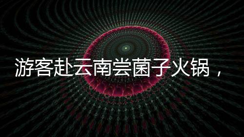 游客赴云南嘗菌子火鍋，驚嘆于獨(dú)特食用規(guī)則