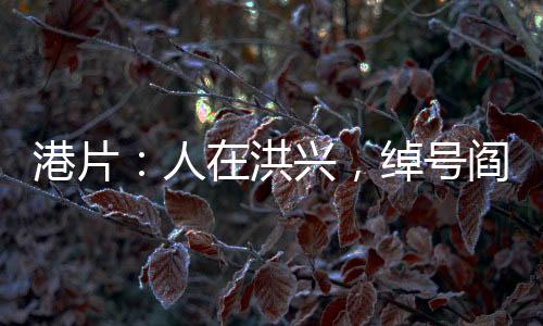 港片：人在洪興，綽號(hào)閻王