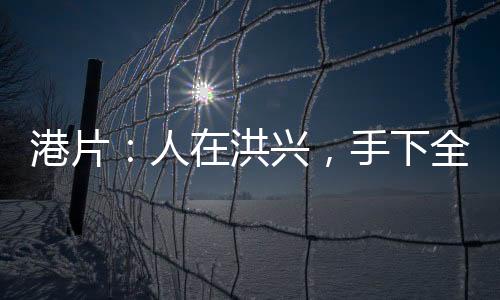 港片：人在洪興，手下全是兇人！