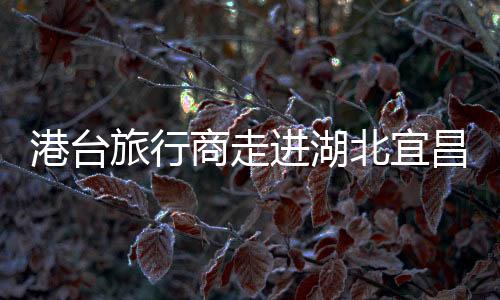 港臺旅行商走進(jìn)湖北宜昌 沉浸式體驗(yàn)三峽文化