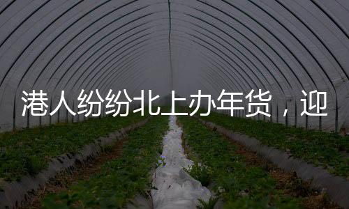 港人紛紛北上辦年貨，迎新春購物熱潮