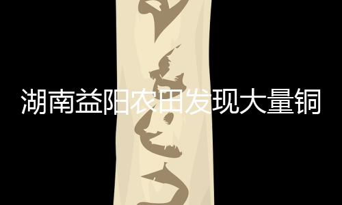 湖南益陽(yáng)農(nóng)田發(fā)現(xiàn)大量銅錢，千年寶藏重現(xiàn)人間