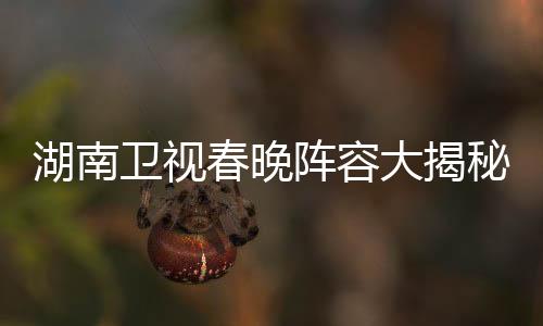 湖南衛(wèi)視春晚陣容大揭秘，星光璀璨，熱議不斷