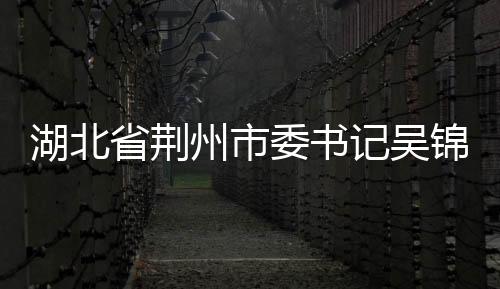 湖北省荊州市委書記吳錦接受審查調(diào)查
