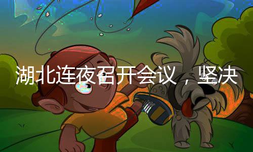 湖北連夜召開會議，堅(jiān)決擁護(hù)中央對蔣超良的調(diào)查