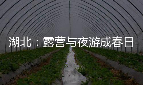 湖北：露營(yíng)與夜游成春日經(jīng)濟(jì)消費(fèi)新熱點(diǎn)