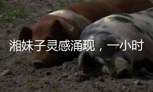 湘妹子靈感涌現(xiàn)，一小時(shí)內(nèi)為王菲譜寫(xiě)新歌歌詞