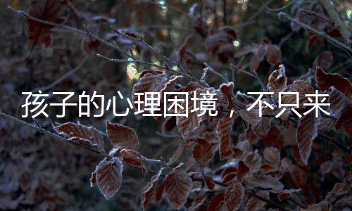 孩子的心理困境，不只來自被雞娃——深析兒童心理健康多重因素