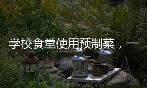 學校食堂使用預制菜，一種趨勢還是選擇？