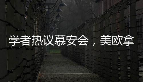 學(xué)者熱議慕安會(huì)，美歐拿錯(cuò)劇本，全球秩序重塑引深思