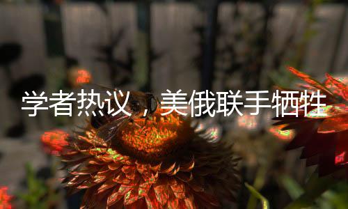 學(xué)者熱議，美俄聯(lián)手犧牲澤連斯基？全球關(guān)注烏克蘭局勢的新視角