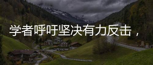 學(xué)者呼吁堅(jiān)決有力反擊，實(shí)現(xiàn)平等對(duì)話——中美關(guān)系的多維度解讀