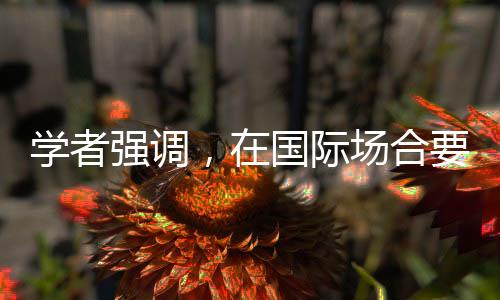 學(xué)者強(qiáng)調(diào)，在國(guó)際場(chǎng)合要懂溝通會(huì)辯論