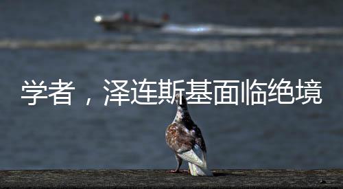 學(xué)者，澤連斯基面臨絕境，未來走向成疑