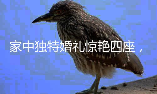 家中獨(dú)特婚禮驚艷四座，新人創(chuàng)意舉辦儀式受邀者驚喜連連