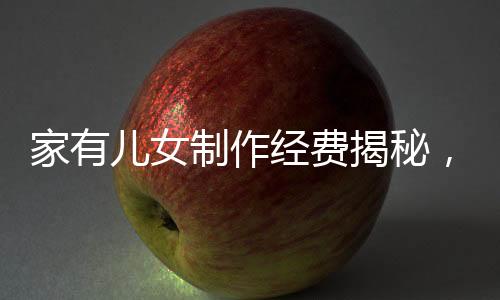 家有兒女制作經(jīng)費(fèi)揭秘，餐桌上的投資細(xì)節(jié)分析