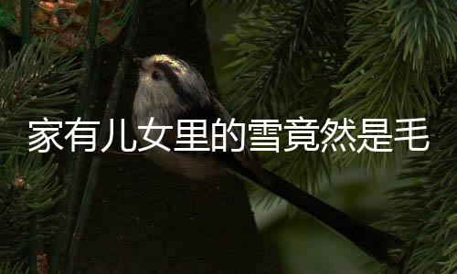 家有兒女里的雪竟然是毛巾——揭秘幕后神秘細(xì)節(jié)