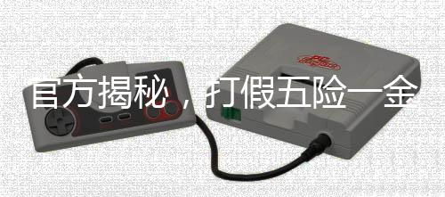 官方揭秘，打假五險一金補貼騙局，守護民眾權益不受侵害