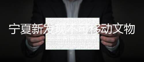 寧夏新發(fā)現(xiàn)不可移動文物線索322條