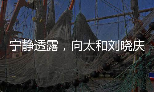 寧靜透露，向太和劉曉慶是我的恩人