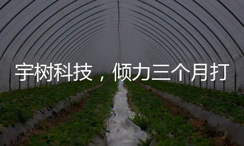 宇樹科技，傾力三個月打造，機器人扭秧歌驚艷亮相