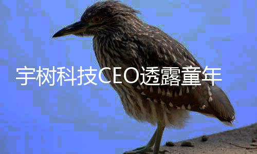 宇樹科技CEO透露童年往事，成績不突出背后的成長故事
