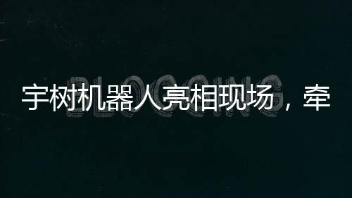 宇樹機(jī)器人亮相現(xiàn)場(chǎng)，牽繩遛狗技術(shù)展示引人矚目