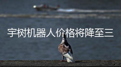 宇樹機(jī)器人價(jià)格將降至三四千元，引領(lǐng)科技潮流的新起點(diǎn)