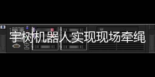 宇樹機(jī)器人實(shí)現(xiàn)現(xiàn)場(chǎng)牽繩遛狗技術(shù)，智能機(jī)器人領(lǐng)域再掀革命浪潮