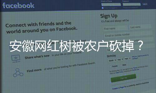 安徽網(wǎng)紅樹被農(nóng)戶砍掉？當(dāng)?shù)鼗貞?yīng)