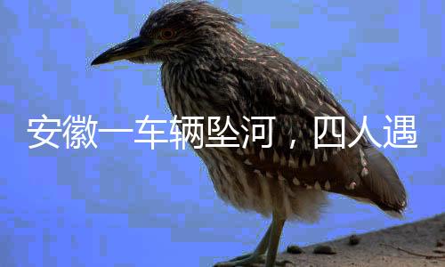 安徽一車輛墜河，四人遇難事故追蹤報(bào)道
